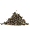 First Flush Darjeeling Risheehat 2025 Classic