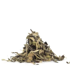White Pu Erh Moonlight